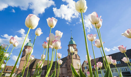 NATUR- & SPORTHOTEL DIE ZUFLUCHT Freudenstadt