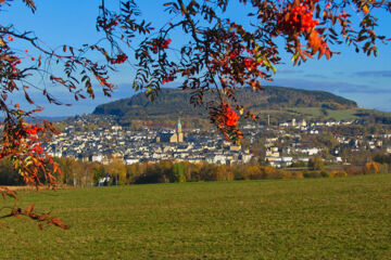 HOTEL WILDER MANN (B&B) Annaberg-Buchholz