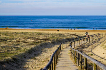 LACOTEL Hossegor